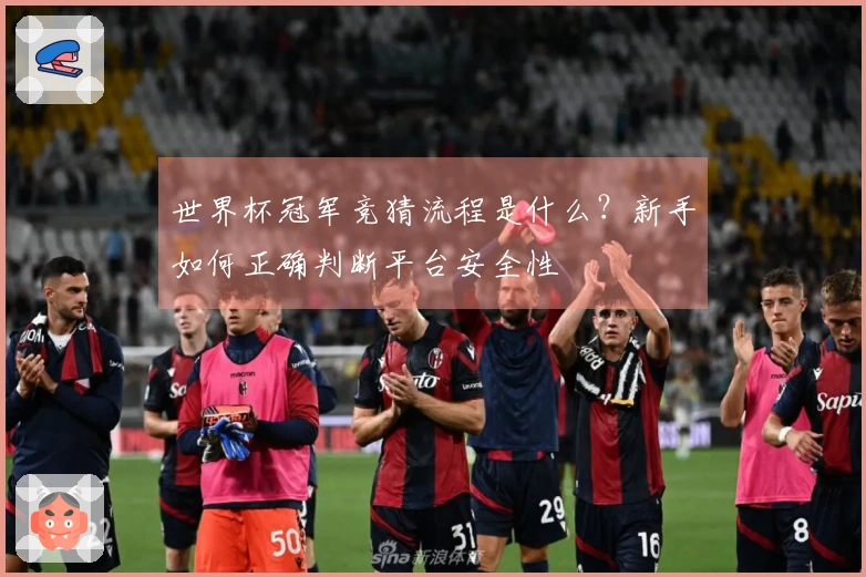 世界杯冠军竞猜流程是什么？新手如何正确判断平台安全性