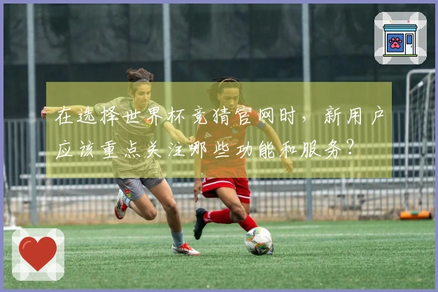 在选择世界杯竞猜官网时，新用户应该重点关注哪些功能和服务？