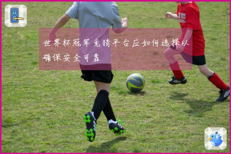 世界杯冠军竞猜平台应如何选择以确保安全可靠