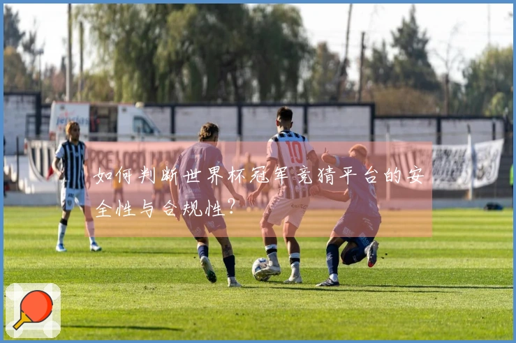 如何判断世界杯冠军竞猜平台的安全性与合规性？