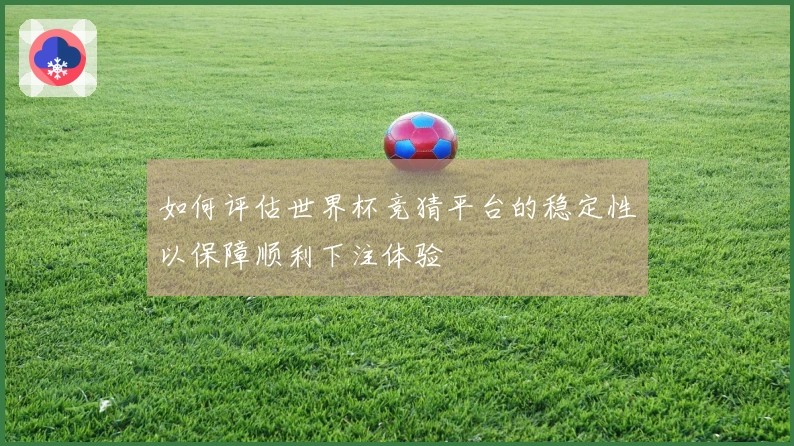 如何评估世界杯竞猜平台的稳定性以保障顺利下注体验