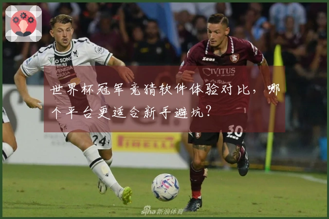世界杯冠军竞猜软件体验对比，哪个平台更适合新手避坑？