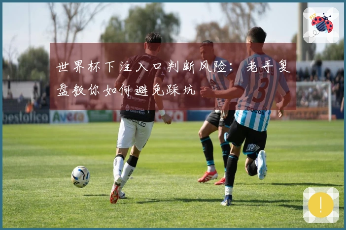 世界杯下注入口判断风险：老手复盘教你如何避免踩坑