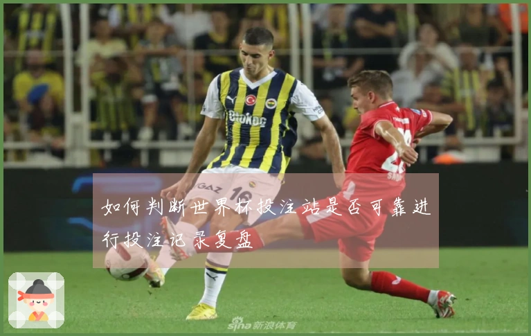 如何判断世界杯投注站是否可靠进行投注记录复盘
