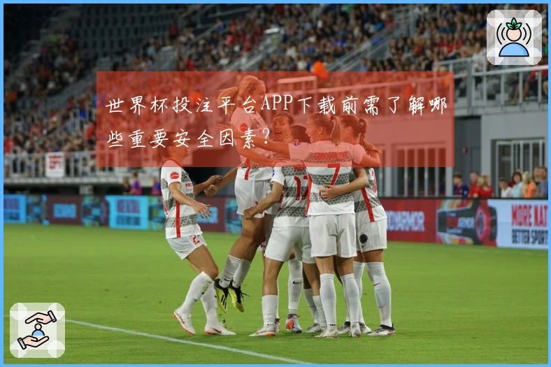 世界杯投注平台APP下载前需了解哪些重要安全因素？