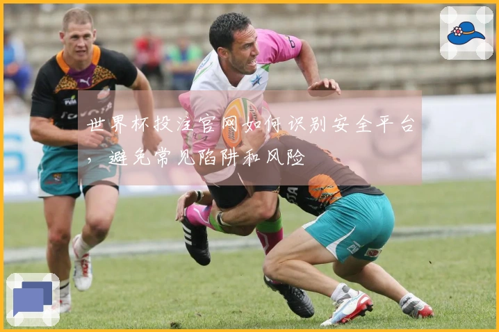 世界杯投注官网如何识别安全平台，避免常见陷阱和风险