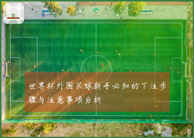 世界杯外围买球新手必知的下注步骤与注意事项分析