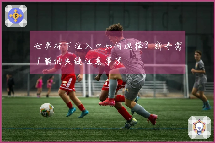 世界杯下注入口如何选择？新手需了解的关键注意事项