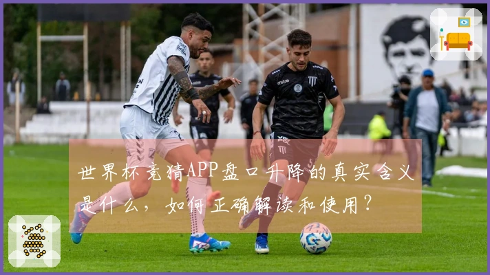 世界杯竞猜APP盘口升降的真实含义是什么，如何正确解读和使用？