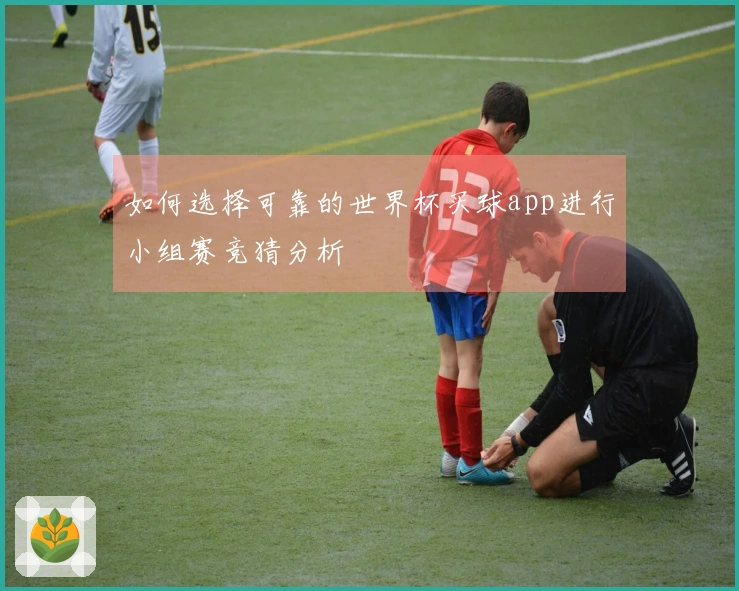 如何选择可靠的世界杯买球app进行小组赛竞猜分析