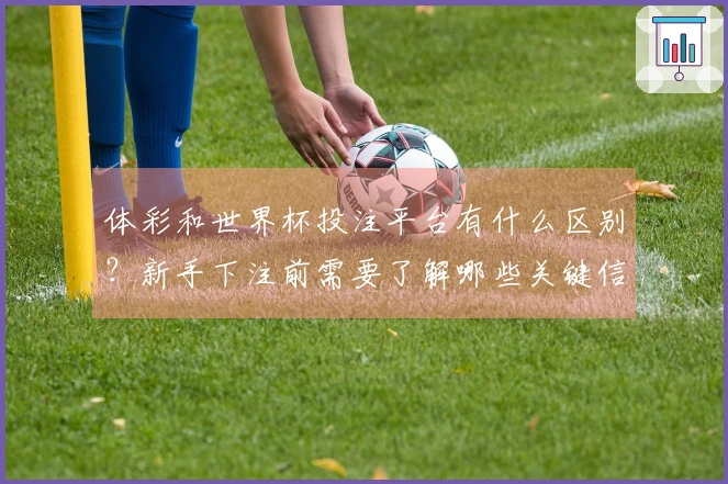 体彩和世界杯投注平台有什么区别？新手下注前需要了解哪些关键信息