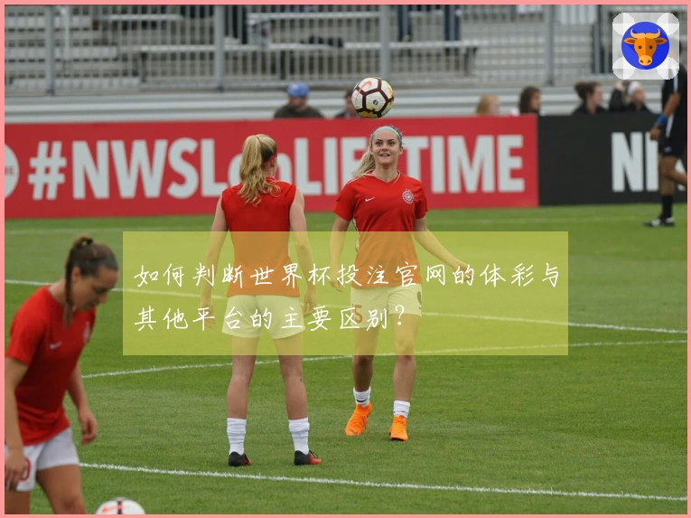 如何判断世界杯投注官网的体彩与其他平台的主要区别？