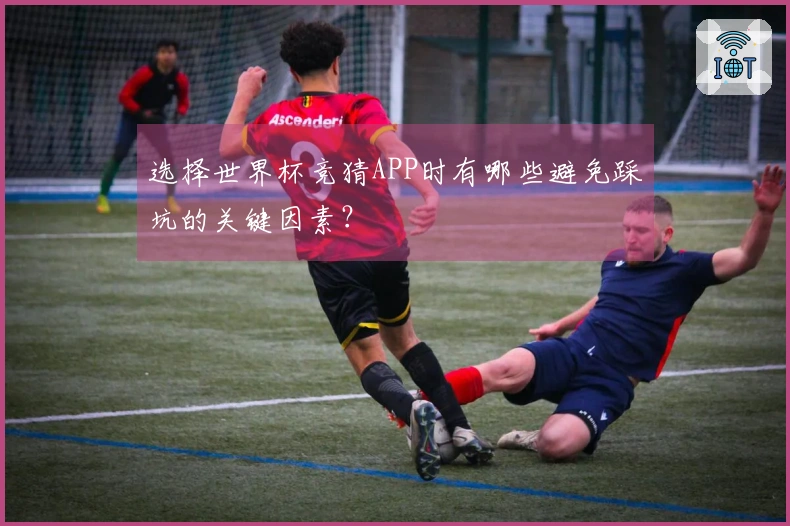 选择世界杯竞猜APP时有哪些避免踩坑的关键因素？