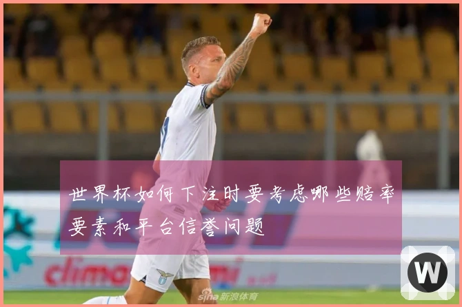 世界杯如何下注时要考虑哪些赔率要素和平台信誉问题
