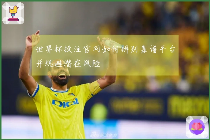 世界杯投注官网如何辨别靠谱平台并规避潜在风险