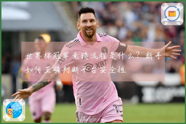 世界杯冠军竞猜流程是什么？新手如何正确判断平台安全性