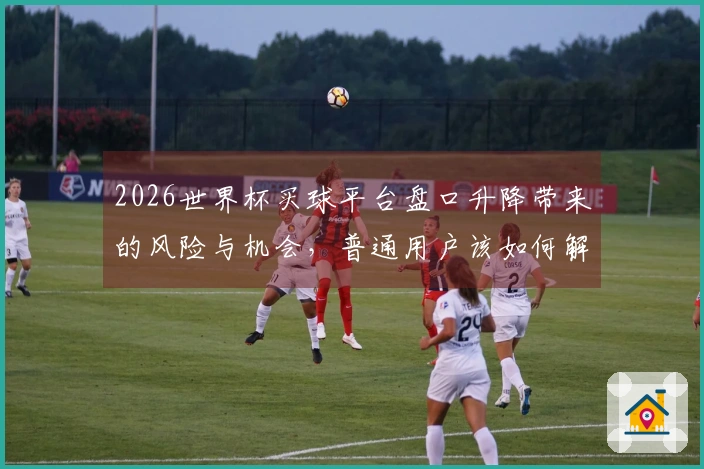 2026世界杯买球平台盘口升降带来的风险与机会，普通用户该如何解读？