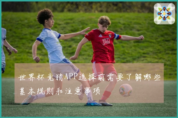 世界杯竞猜APP选择前需要了解哪些基本规则和注意事项