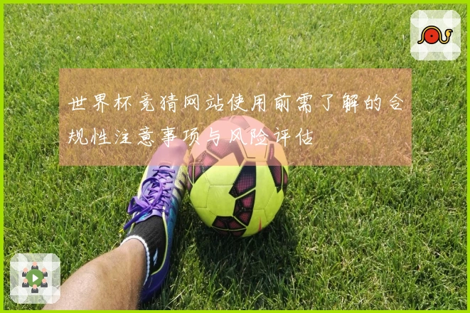 世界杯竞猜网站使用前需了解的合规性注意事项与风险评估
