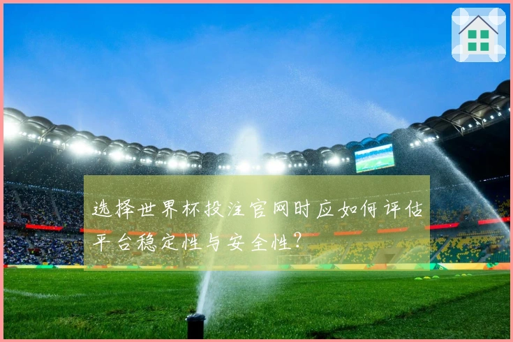 选择世界杯投注官网时应如何评估平台稳定性与安全性？