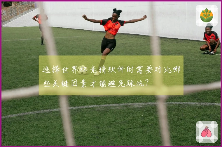 选择世界杯竞猜软件时需要对比哪些关键因素才能避免踩坑？