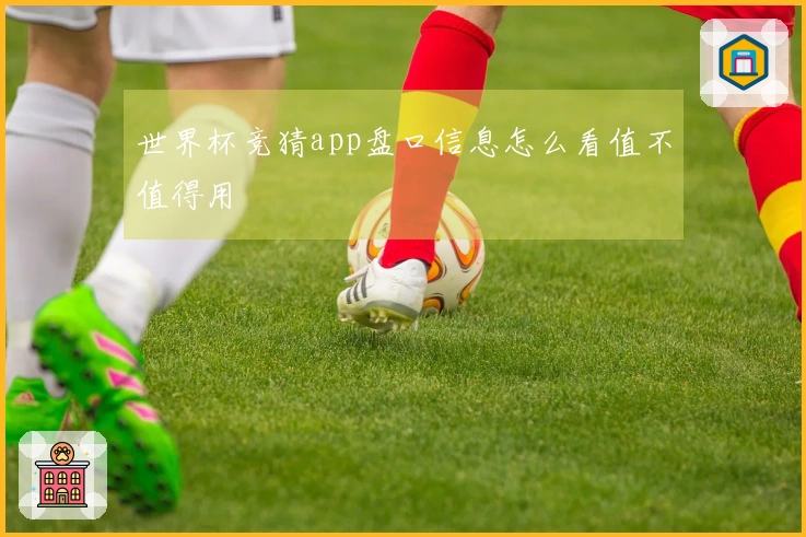 世界杯竞猜app盘口信息怎么看值不值得用