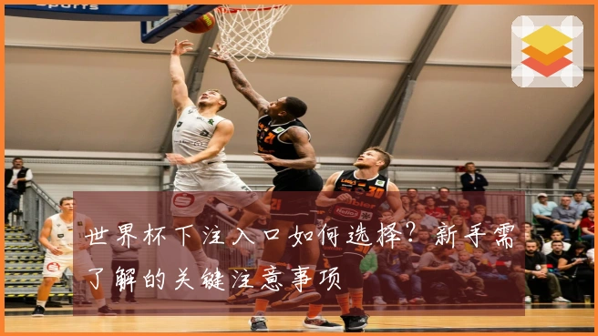 世界杯下注入口如何选择？新手需了解的关键注意事项