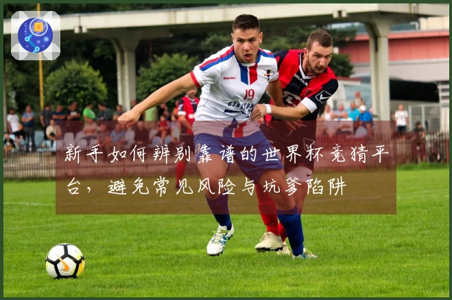 新手如何辨别靠谱的世界杯竞猜平台，避免常见风险与坑爹陷阱