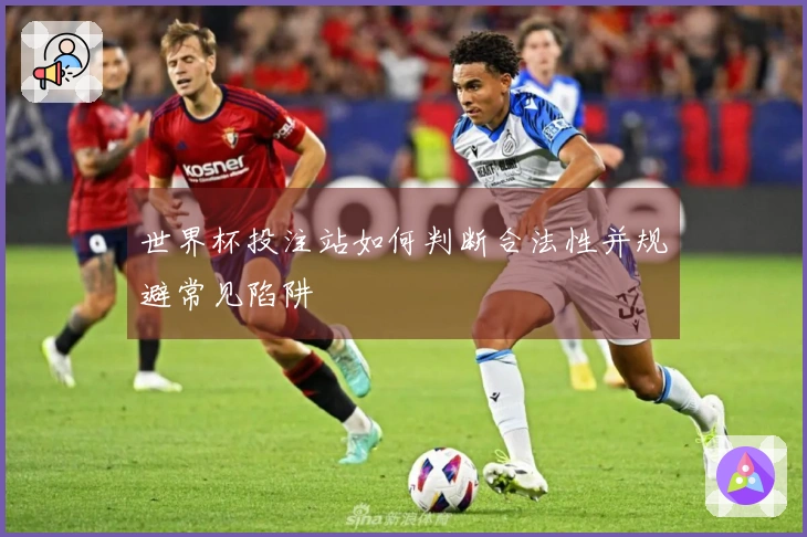 世界杯投注站如何判断合法性并规避常见陷阱