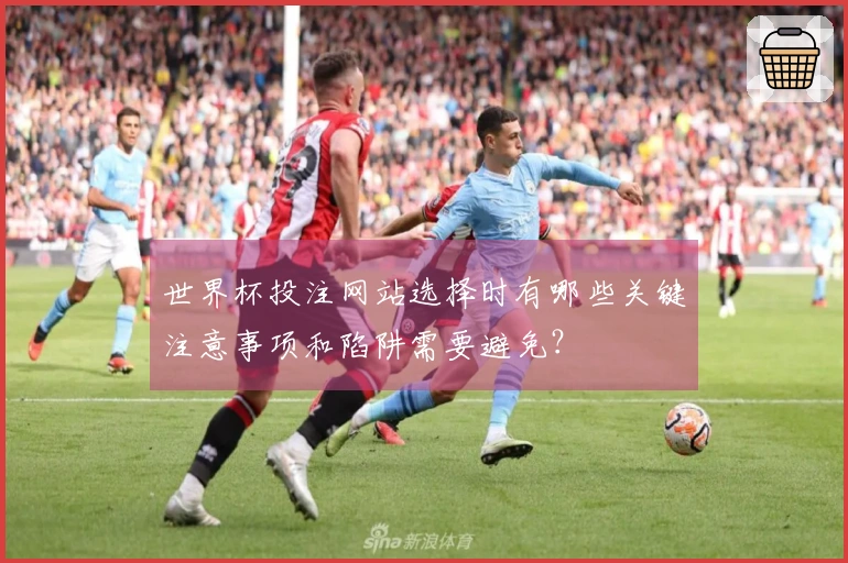 世界杯投注网站选择时有哪些关键注意事项和陷阱需要避免?