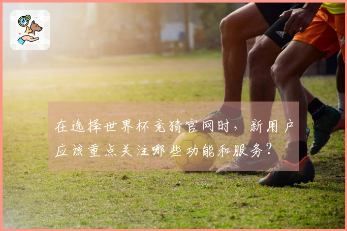 在选择世界杯竞猜官网时，新用户应该重点关注哪些功能和服务？