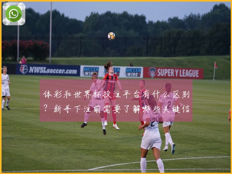 体彩和世界杯投注平台有什么区别？新手下注前需要了解哪些关键信息