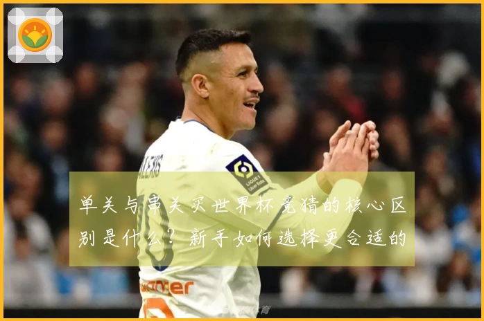 单关与串关买世界杯竞猜的核心区别是什么?新手如何选择更合适的方式?